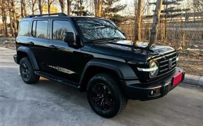 Интерьер нового китайского автомобиля Tank 300 2024, внедорожник 4WD, обзор цены и характеристик для покупки