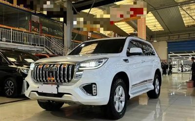Подержанный автомобиль Haval H9 2022 #1, китайский SUV, тип топлива бензин, обзор и цена на продажу