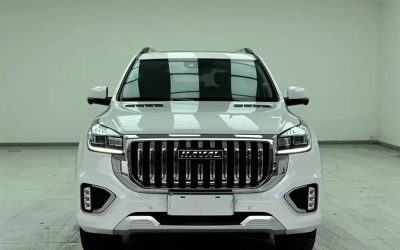 Подержанный автомобиль Haval H9 2022 #2, китайский SUV, тип топлива бензин, обзор и цена на продажу