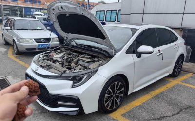 Интерьер Toyota Levin 2021, седан, 2WD, Китай, спецификации, подержанный автомобиль