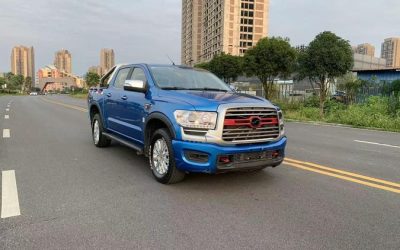 Zhongxing Terralord 2021 pickup, Chinese auto, exterior and interior review, diesel, 4WD, price, specs