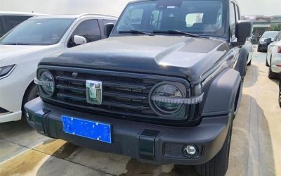 Экстерьер подержанного автомобиля Tank 300 2023, китайский внедорожник 4WD, обзор характеристик и цены на продажу