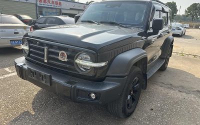 Used Tank 300 2021 SUV interior, 4WD, gas-powered, buy with price and specs review from China.