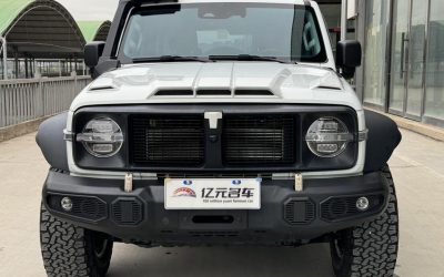 Экстерьер Tank 300 2023, подержанный внедорожник, бензин, 4WD, спецификации, цена, обзор, продажа, купить китайский авто