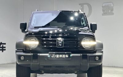 Экстерьер предпродажного автомобиля Tank 300 2024, внедорожник, подключаемый гибрид, 4WD, Китай, обзор