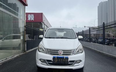Exterior of a used Weiwang 306 2016 minivan, gasoline, 2WD, China - price, specs, and review