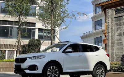 Основные черты экстерьера внедорожника WEY VV6 2019, подержанный китайский автомобиль на продажу, бензин, 4WD, с характеристиками, ценой и обзорами для покупателей в Китае.
