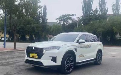 Подержанный Venus Star 2021, внедорожник, электрический, 4WD, китайский авто, цена