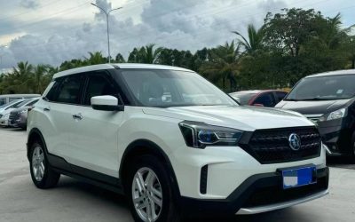 Подержанный Venucia T60 2019, внедорожник, бензин, 2WD, китайский авто, характеристики