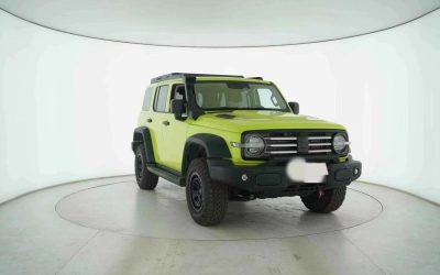 Б/у внедорожник Tank 300 2023, китайский подержанный автомобиль, 4WD, бензин, изучите цену и характеристики.