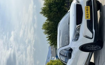 Полный экстерьер Livan X3 PRO 2023, бензинового внедорожника, китайского подержанного автомобиля на продажу, с характеристиками, ценой и возможностью покупки в Китае.