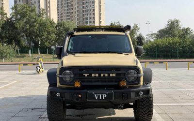 Полный экстерьер подержанного внедорожника Tank 300 2021 года на продажу в Китае, с деталями характеристик, цены и 2WD/4WD в обзоре китайского подержанного автомобиля.