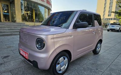 Задний экстерьер китайского б/у хэтчбека Geely Panda 2023 на продажу, с характеристиками, ценой и обзором подержанного авто с электрическим топливом и 2WD.