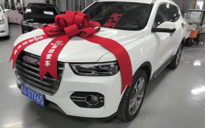 Вид экстерьера Haval H6 2018, бензиновый внедорожник, подержанный автомобиль на продажу в Китае, характеристики и цена