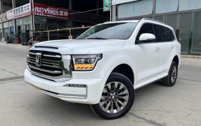 Подержанный Tank 500 EV 2023, китайский электрический SUV, для продажи, обзор характеристик и цены