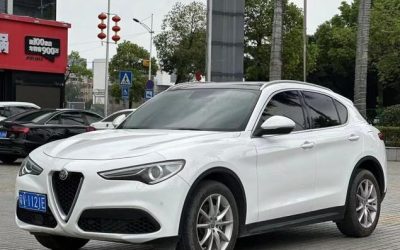 Взгляните на вторичный Alfa Romeo Stelvio 2019 года, подержанный внедорожник с 4WD и доступной ценой.