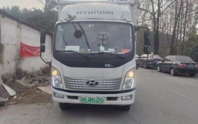 r204167-byd-e-vali-2022_1-1