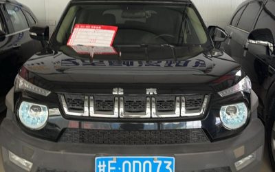 R214873-BAIC BJ20-2019_0