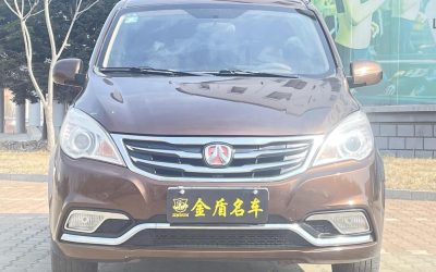 Полный экстерьер подержанного Weiwang M30 2016, китайского минивэна на продажу с бензиновым двигателем 2WD и ценой.