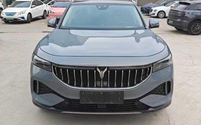 Voyah FREE 2021, внедорожник, plug-in hybrid, 4WD, подержанный автомобиль из Китая, для покупки, обзор и цена.