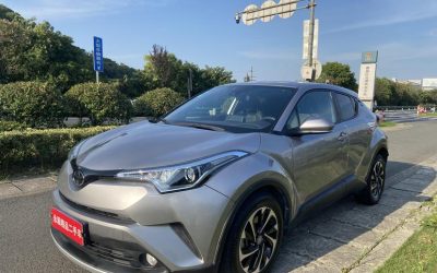 R215067-Toyota-IZOA-2019_0