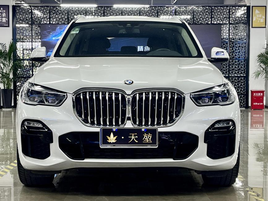 r215237-bmw20x5-2020_0