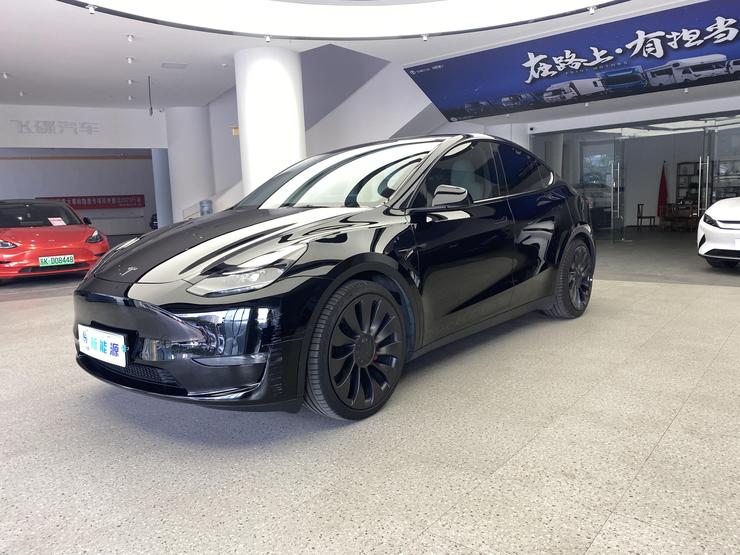 r215288-tesla-model-y-2021_0