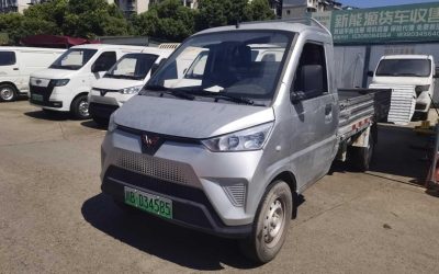 r215496-wuling-electric-truck-2021_0