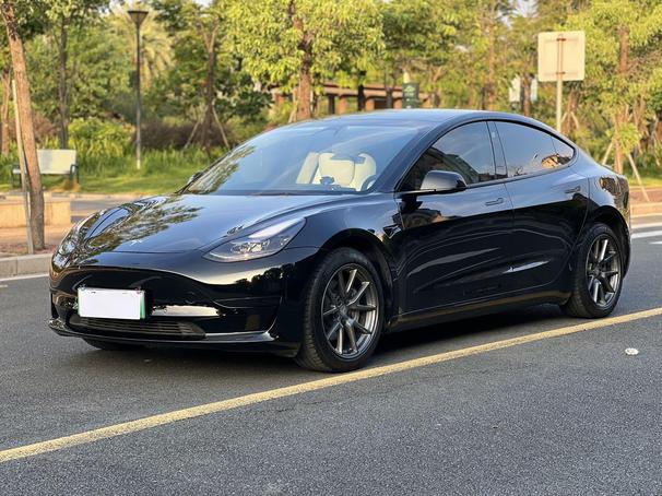 r215791-tesla-model-3-2021_0