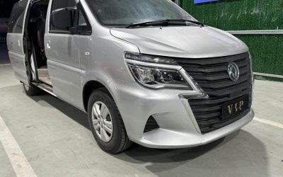 r215957-dongfeng20forthing20lingzhi-2019_0