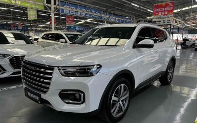 r215996-haval20h6-2019_0