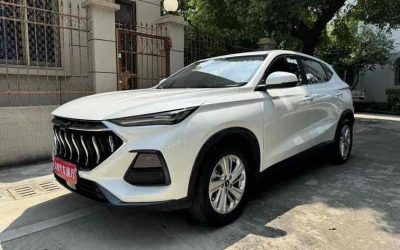 r216102-changan-oshan-x5-2021_0