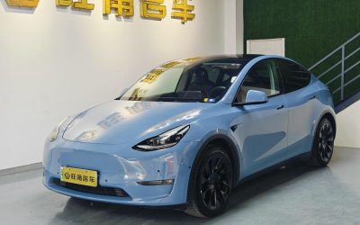 r216201-tesla-model-y-2021_0