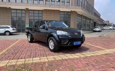 r216417-great-wall-wingle-5-2020_0