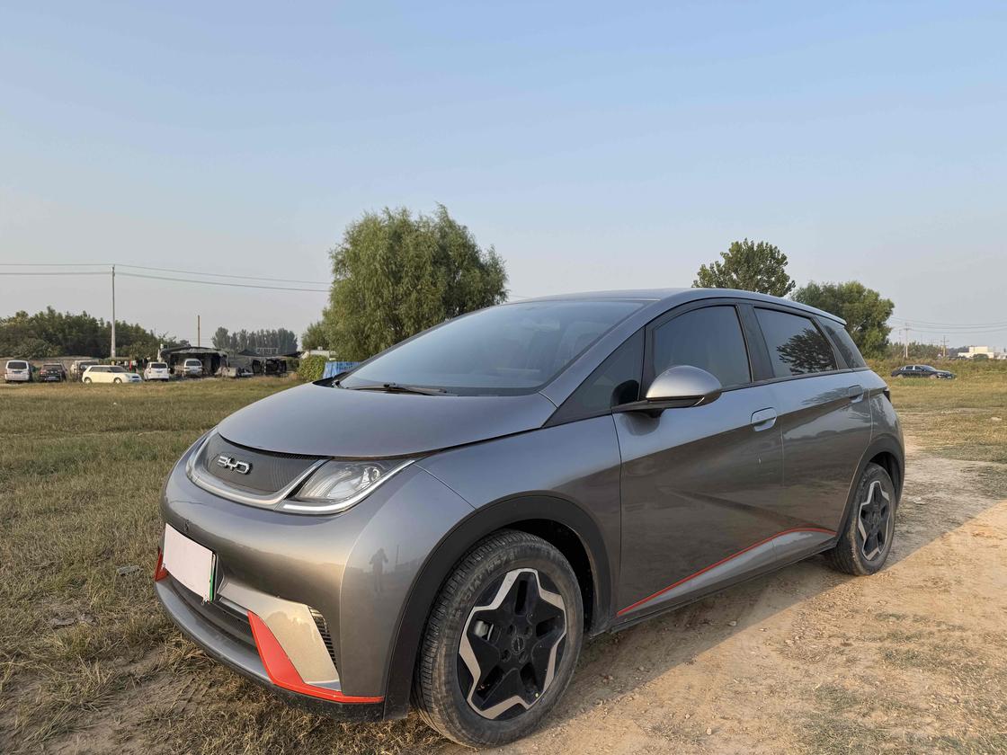 r216456-byd-dolphin-2023_0