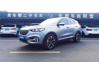 r216590-wey-vv6-2020_0