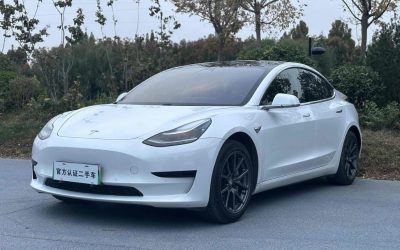 r216610-tesla20model203-2021_0