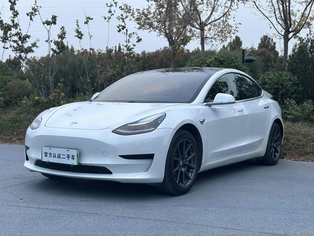r216610-tesla20model203-2021_0