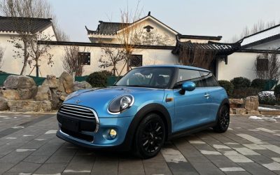 r216617-mini-2019_0