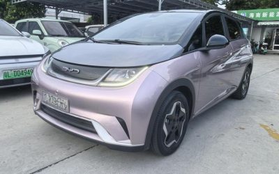 R216671-BYD-Dolphin-2022_0