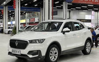r216680-borgward-bx5-2019_0