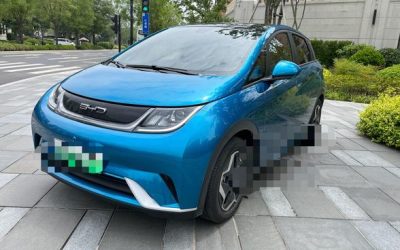 r216742-byd-dolphin-2022_0