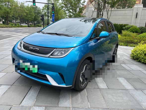 r216742-byd-dolphin-2022_0