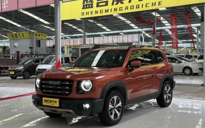 r216766-haval-dargo-2021_0
