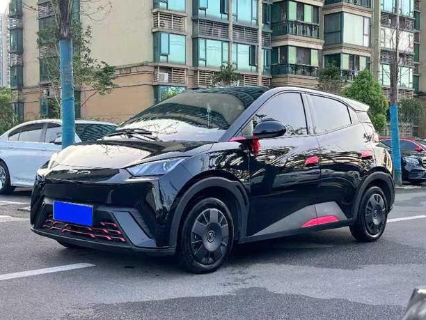 r216826-byd-seagull-2023_0