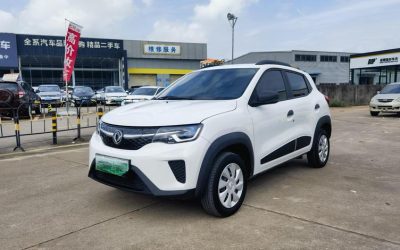 r216861-dongfeng-nammi-ex1-2021_0