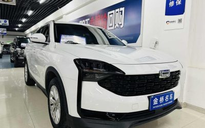 r216888-qoros207-2021_0