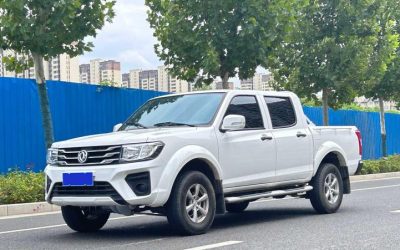 r216892-dongfeng-ruiqi-2023_0