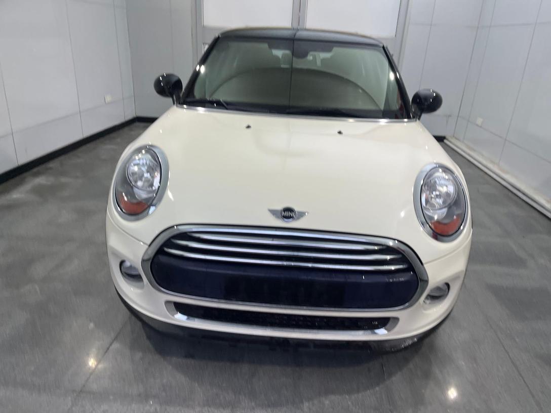r217006-mini-2017_0