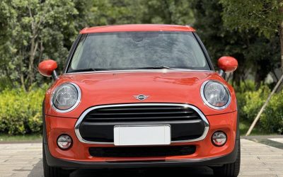 r217010-mini-2019_0